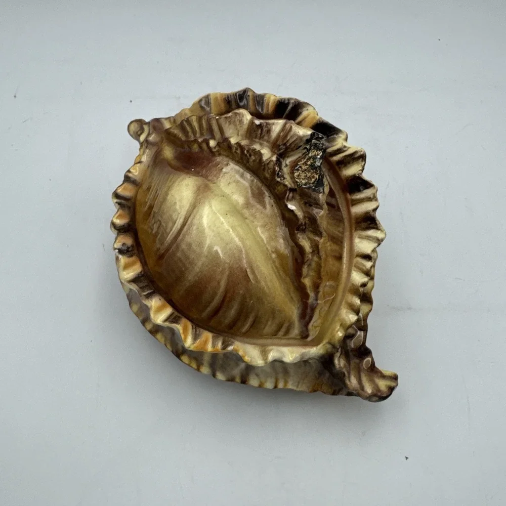 Vintage Atlantic Mold Ceramic Large Conch Sea Shell Planter Vase Brown Glossy